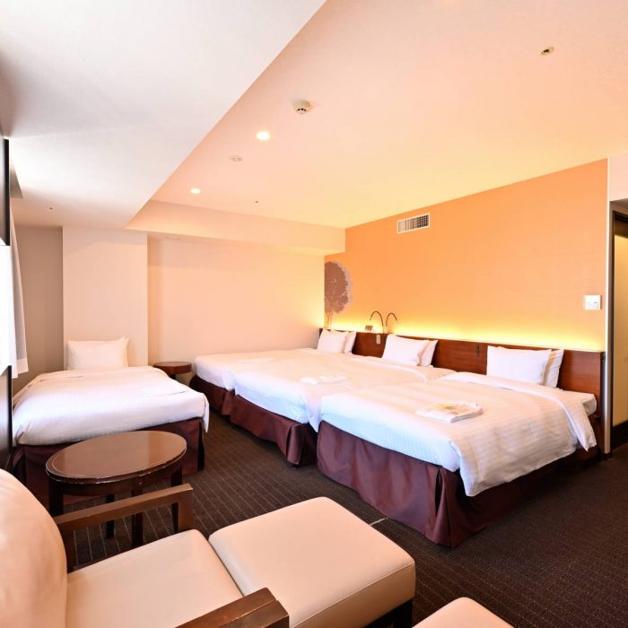 Deluxe Room (Non-smoking Only)